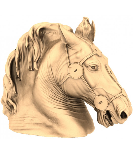 Majestic Horse Bust