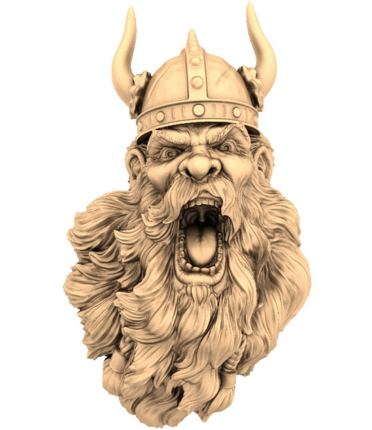 Fierce Viking Warrior