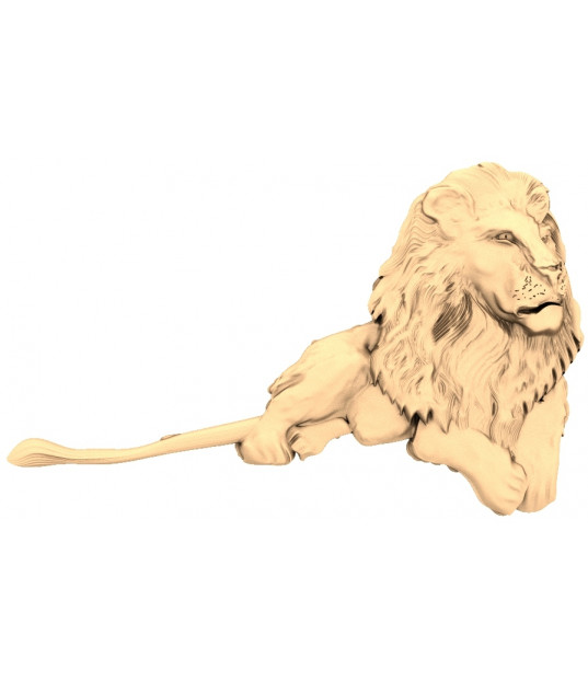 Majestic Lion Rest