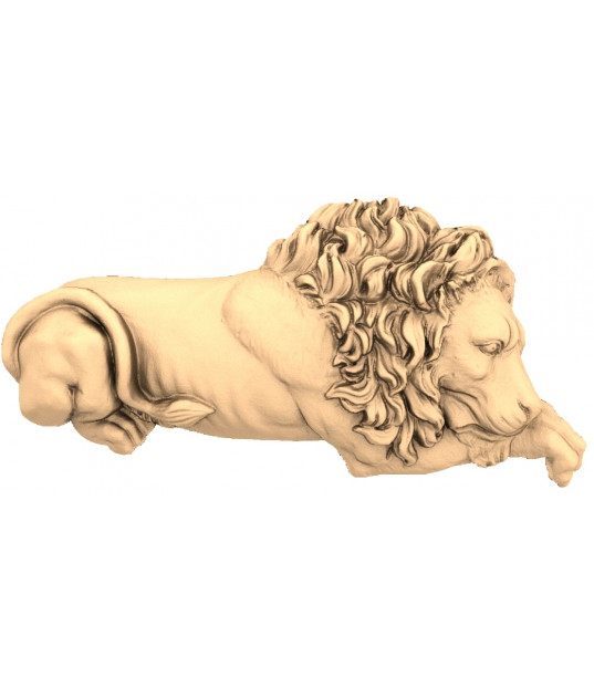 Lion Majesty