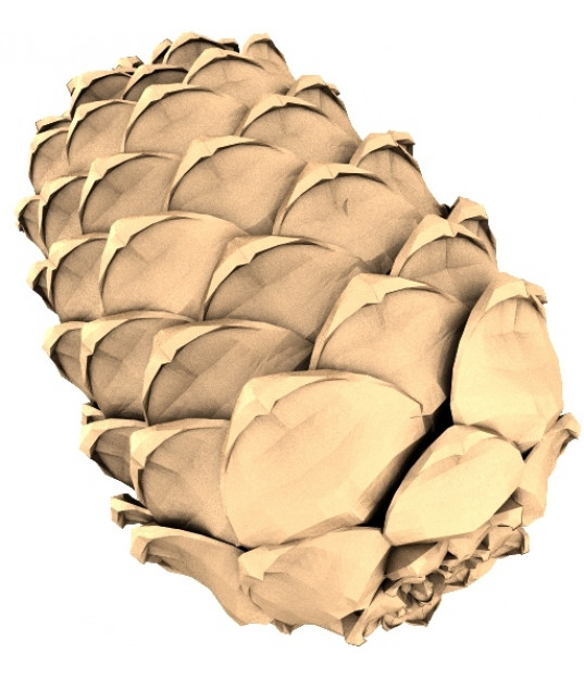Rustic Pine Cone