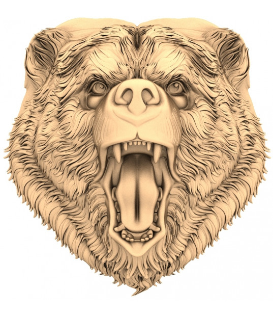 Regal Bear Roar
