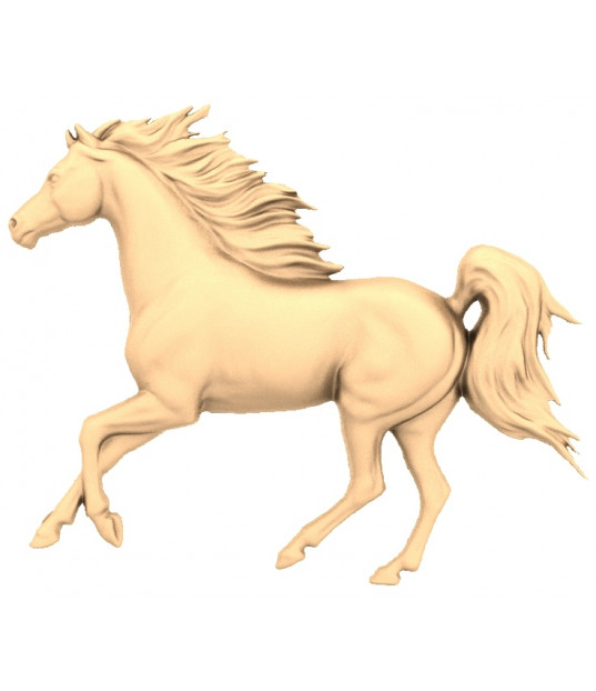 Galloping Stallion