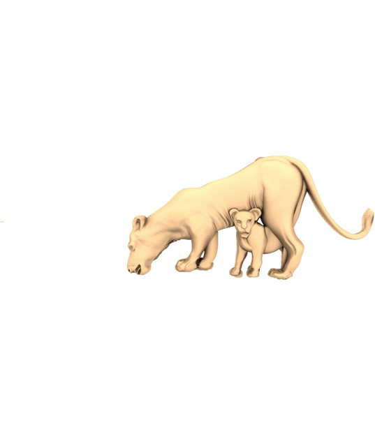 Serengeti Guardians