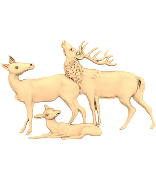 Majestic Deer Family