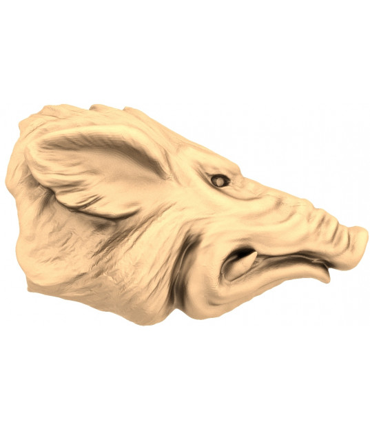 Boar's Head Relief