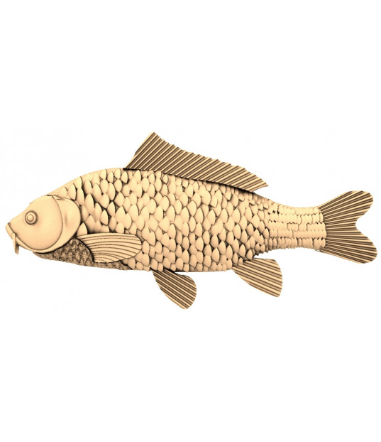 Carp Delight
