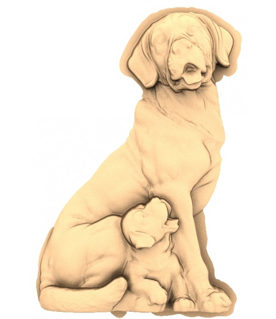 Guardian Companions