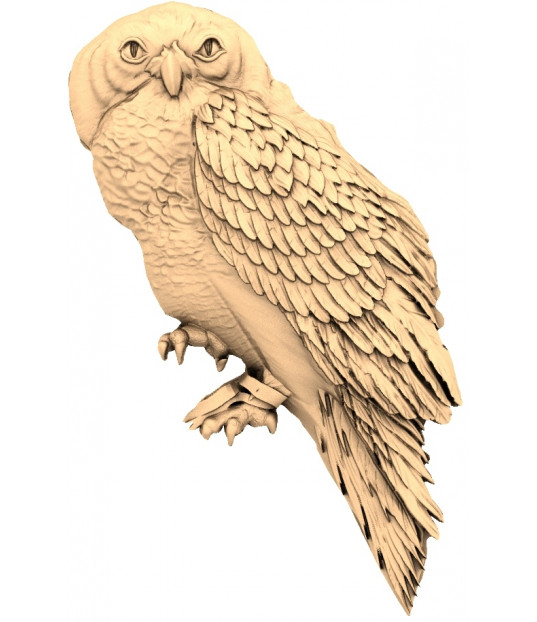 Majestic Snowy Owl