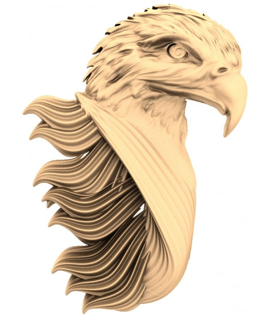 Majestic Eagle Head