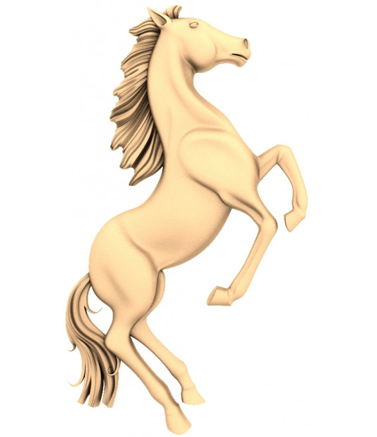 Majestic Equine