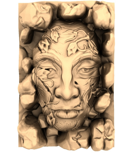 The Enigmatic Face of Nature