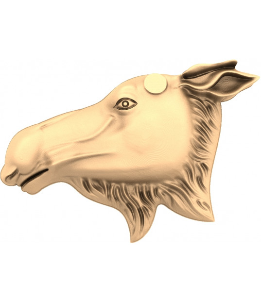 Majestic Moose Head