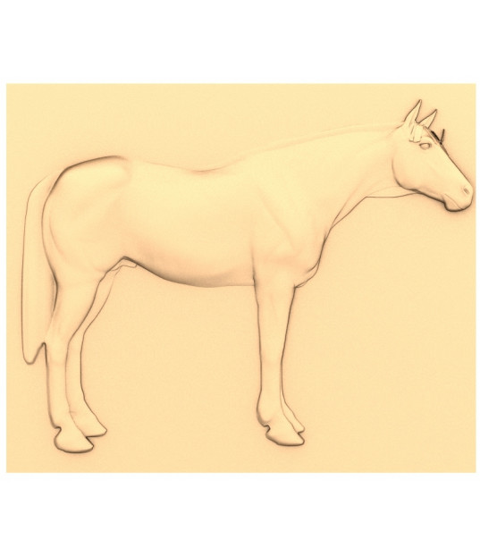 Majestic Horse Relief