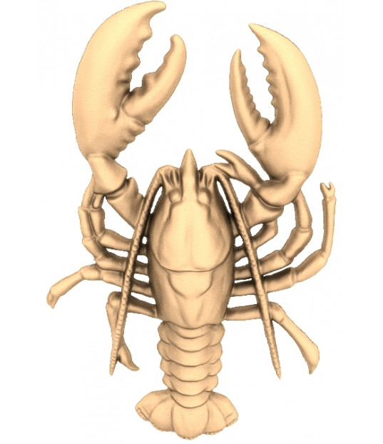 Majestic Lobster