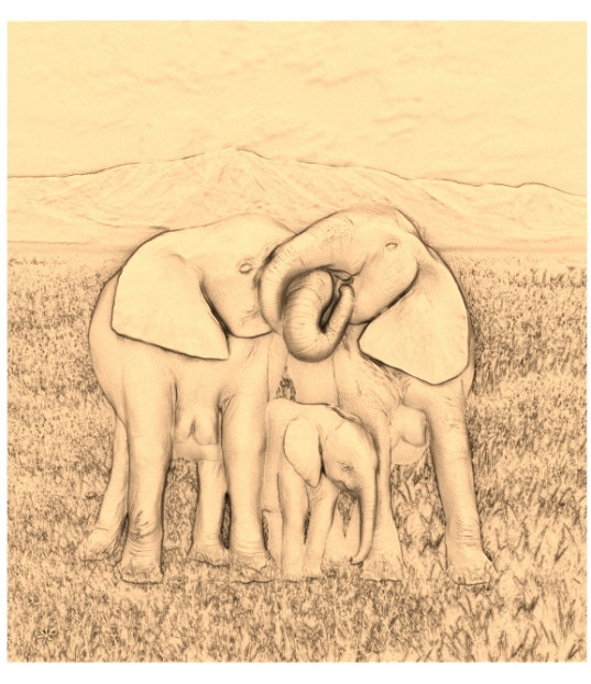 Elephant Family Harmony