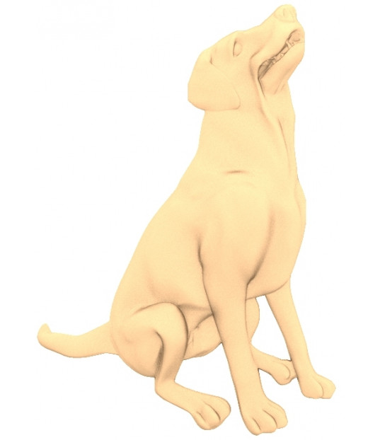 Loyal Companion