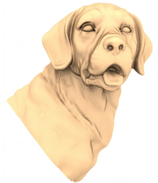 Loyal Dog Companion