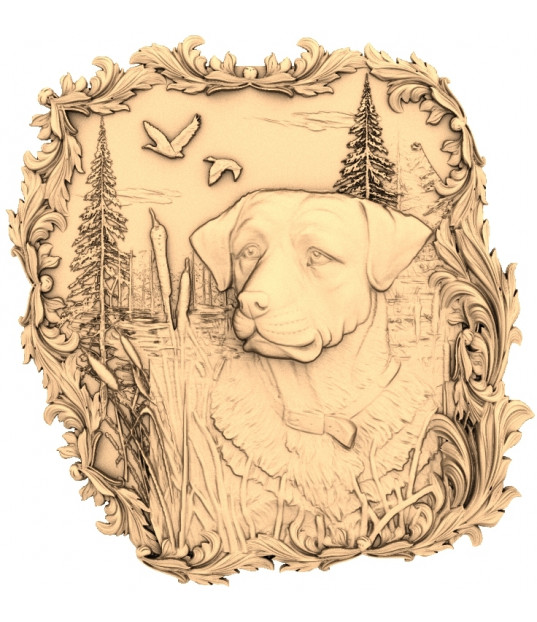 Retriever's Tranquility