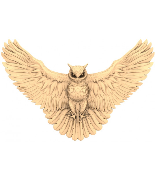 Winged Wisdom