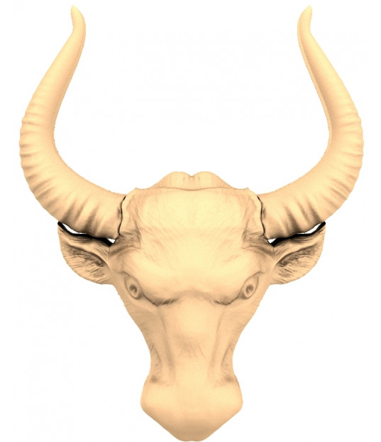 Majestic Bull Head