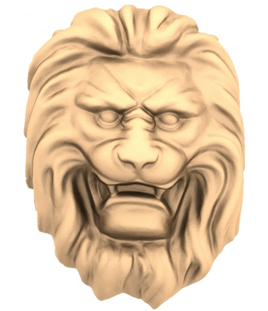 Majestic Lion's Roar
