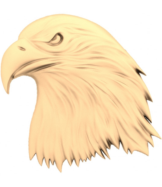 Majestic Eagle Head