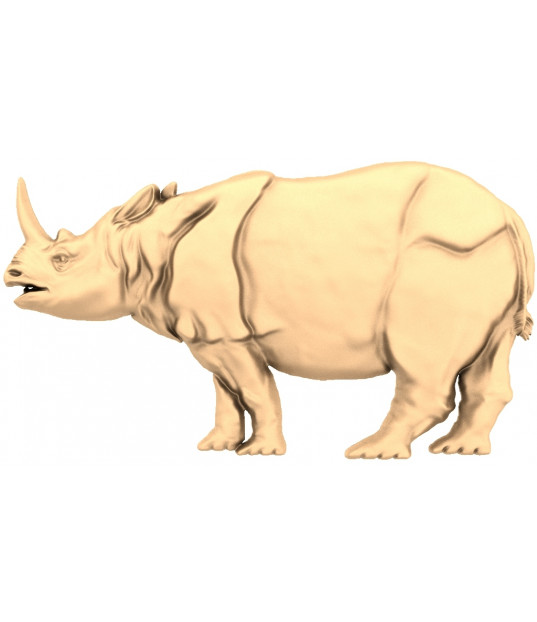 Majestic Rhino
