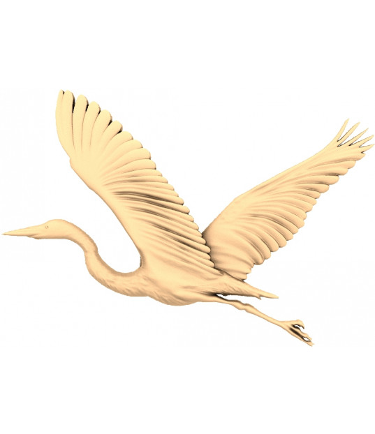 Soaring Heron