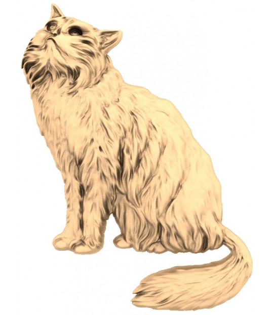 Majestic Feline