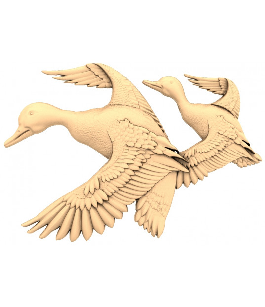 Flying Ducks Harmony