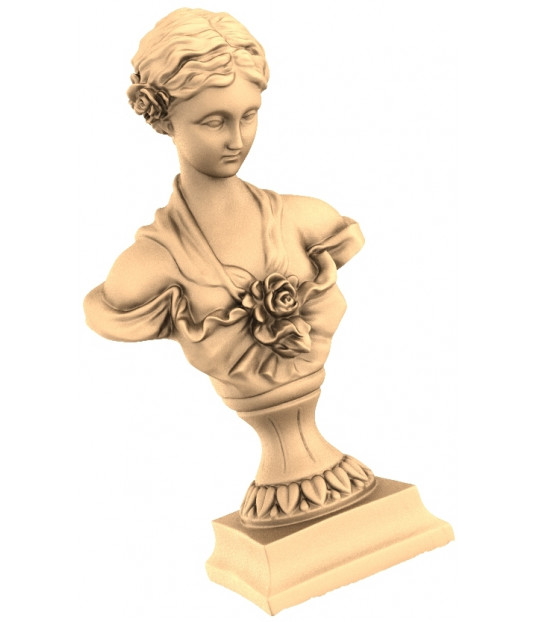 Timeless Elegance Bust