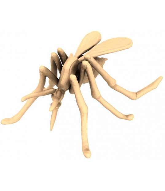 Dynamic Mosquito