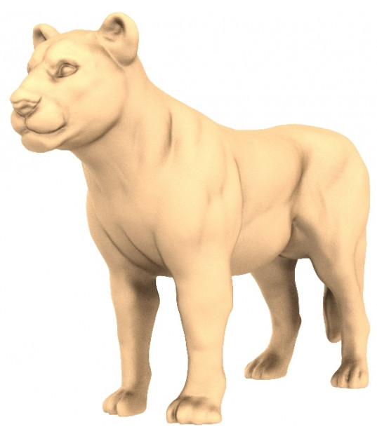 Regal Lioness