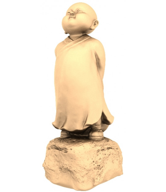 Joyful Monk