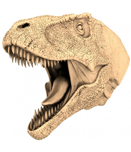 Tyrannosaurus Rex Head