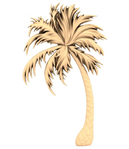 Tropical Tranquility