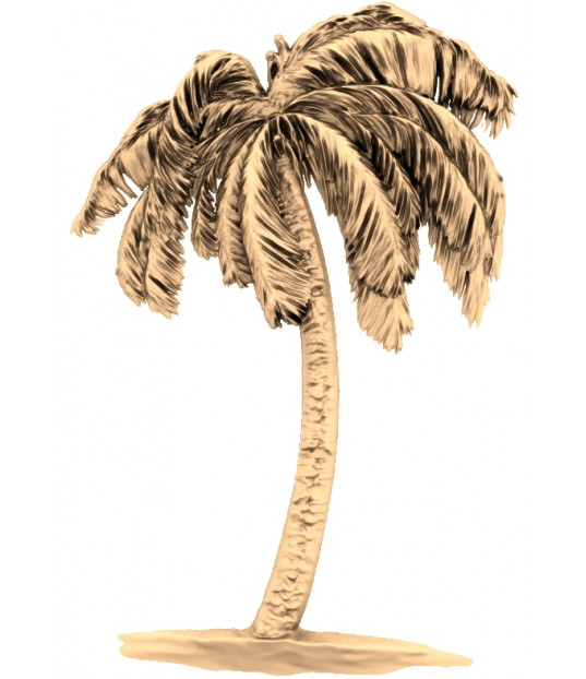 Tropical Elegance Palm Tree 3D Model