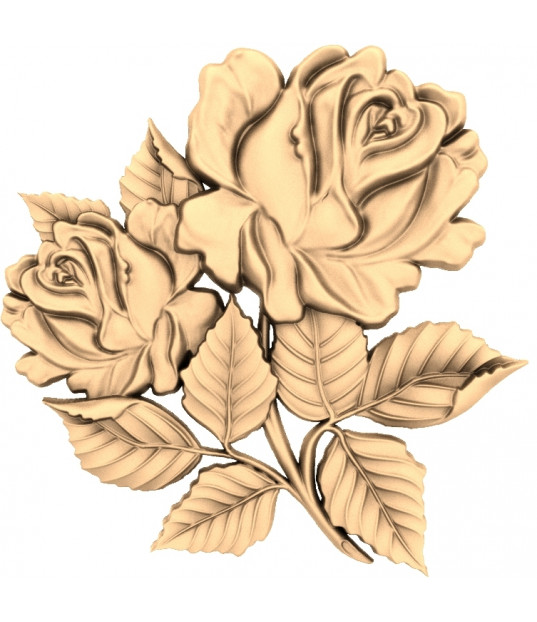 Eternal Roses